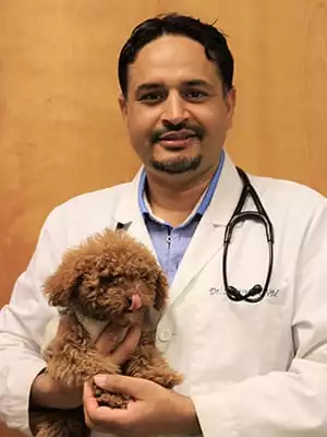 Satwinder Bajwa DVM with a dog