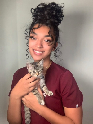 Nicole the receptionist holding a striped grey kitten