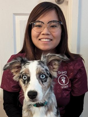 Tracy the receptionist / assistant with an Australian Shepherd puppy