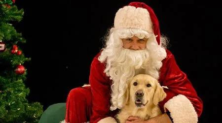 dog meeting Santa